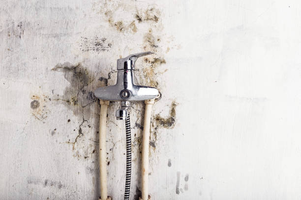 Best Residential Mold Removal  in Kinnelon, NJ