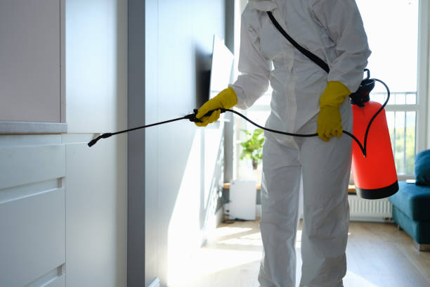 Best Professional Mold Removal  in Kinnelon, NJ