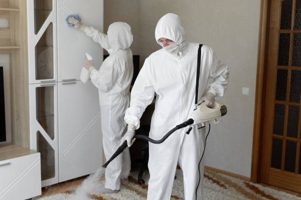 Best Fast Mold Removal  in Kinnelon, NJ